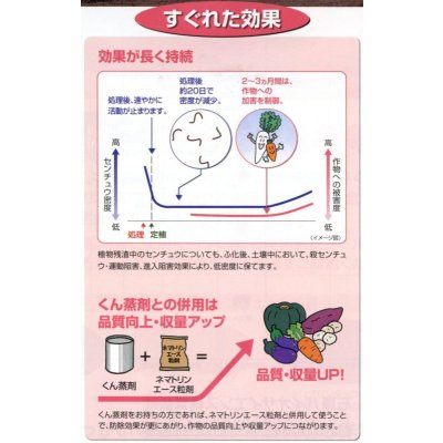 画像4: 農薬　殺線虫剤　ネマトリンエース粒剤　5kg