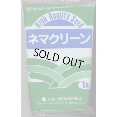 画像1: [緑肥]　ネマクリーン(マメ科)1kg　カネコ種苗(株)