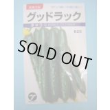 送料無料　[キュウリ]　グッドラック　0.9ml　(株)タカヤマシード