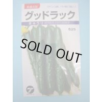 送料無料　[キュウリ]　グッドラック　0.9ml　(株)タカヤマシード