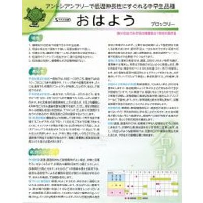 画像3: 送料無料　[ブロッコリー]　おはよう　ペレット5000粒　(株)サカタのタネ