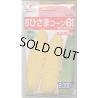 送料無料[とうもろこし]　おひさまコーン88　2000粒　タキイ種苗(株)