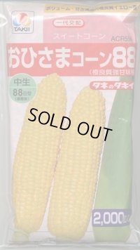 送料無料[とうもろこし]　おひさまコーン88　2000粒　タキイ種苗(株)