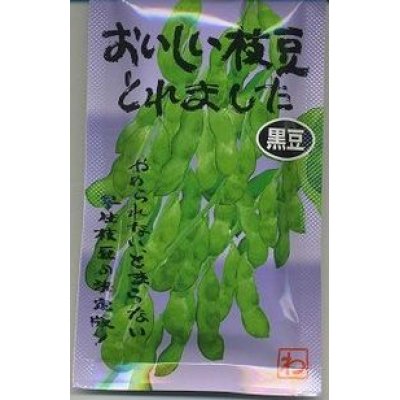 画像1: [枝豆]　おいしい枝豆とれました　（黒豆）1dl　  渡辺農事