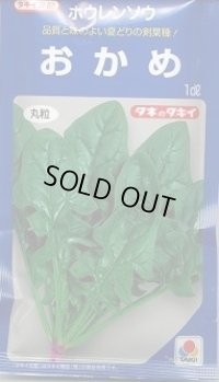 送料無料 [ほうれんそう] おかめ 1dl