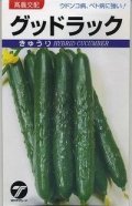 送料無料　[キュウリ]　グッドラック　350粒　(株)タカヤマシード