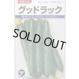 送料無料　[キュウリ]　グッドラック　350粒　(株)タカヤマシード