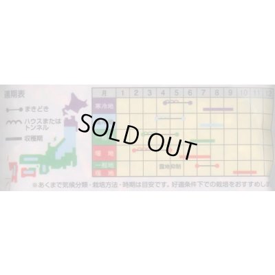 画像3: 送料無料　[とうもろこし]　おおもの　200粒　ナント種苗(株)
