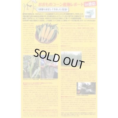 画像2: 送料無料　[とうもろこし]　おおもの　200粒　ナント種苗(株)