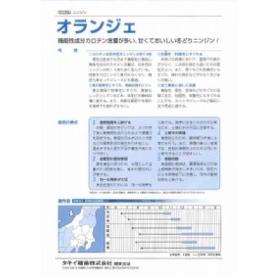 画像3: [人参] オランジェ ペレット種子1万粒 タキイ種苗(株)