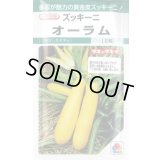 送料無料　[ズッキーニ]　オーラム　16粒　タキイ一代交配　GF