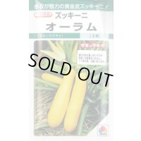 送料無料　[ズッキーニ]　オーラム　16粒　タキイ一代交配　GF