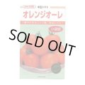 送料無料　[トマト/中玉トマト]　オレンジオーレ　14粒　カネコ種苗（株）