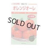 送料無料　[トマト/中玉トマト]　オレンジオーレ　14粒　カネコ種苗（株）
