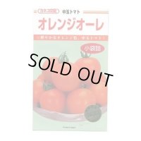 送料無料　[トマト/中玉トマト]　オレンジオーレ　14粒　カネコ種苗（株）