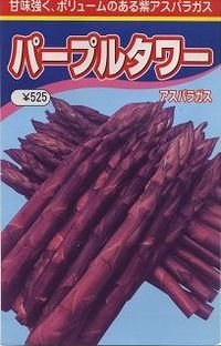 [アスパラガス]　送料無料！　パープルタワー　　500粒　渡辺農事（株）