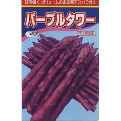 画像1: [アスパラガス]　送料無料！　パープルタワー　　500粒　渡辺農事（株）