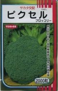 送料無料　[ブロッコリー]　ピクセル　2000粒　(株)サカタのタネ