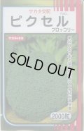 送料無料　[ブロッコリー]　ピクセル　2000粒　(株)サカタのタネ