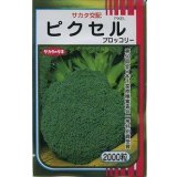 送料無料　[ブロッコリー]　ピクセル　2000粒　(株)サカタのタネ