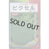 送料無料　[ブロッコリー]　ピクセル　2000粒　(株)サカタのタネ
