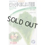送料無料　[葉物]　からし菜　サラダだよ　ピリッと辛く体によい万能菜　5ml　(株)タカヤマシード