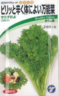 [葉物]　からし菜　サラダだよ 　ピリッと辛く体によい万能菜　5ml　（株）タカヤマシード