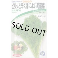 送料無料　[葉物]　からし菜　サラダだよ　ピリッと辛く体によい万能菜　5ml　(株)タカヤマシード