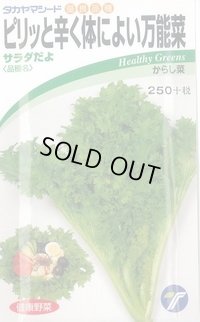 送料無料　[葉物]　からし菜　サラダだよ　ピリッと辛く体によい万能菜　5ml　(株)タカヤマシード