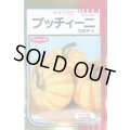 送料無料　[かぼちゃ]　プッチィーニ　100粒　(株)サカタのタネ