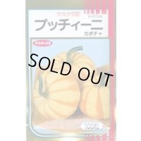 送料無料　[かぼちゃ]　プッチィーニ　100粒　(株)サカタのタネ