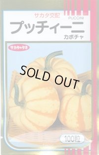 送料無料　[かぼちゃ]　プッチィーニ　100粒　(株)サカタのタネ