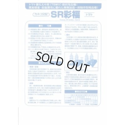 画像3: [トマト/大玉トマト] SR彩福  小袋   12粒 カネコ種苗（株）
