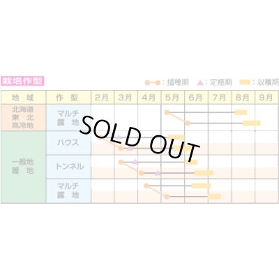 画像5: 送料無料　[枝豆]　味風香　70ml(およそ160粒)　雪印種苗(株)