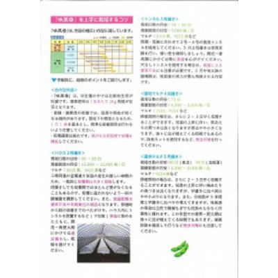 画像3: 送料無料　[枝豆]　味風香　70ml(およそ160粒)　雪印種苗(株)