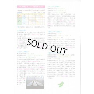 画像3: 送料無料　[枝豆]　味風香　70ml(およそ160粒)　雪印種苗(株)