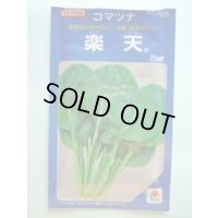 [小松菜] 楽天 20ml タキイ種苗(株)
