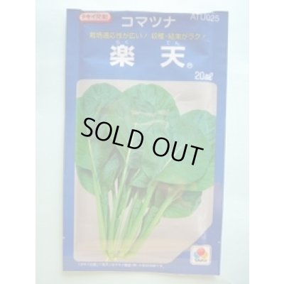 画像1: [小松菜] 楽天 20ml タキイ種苗(株)