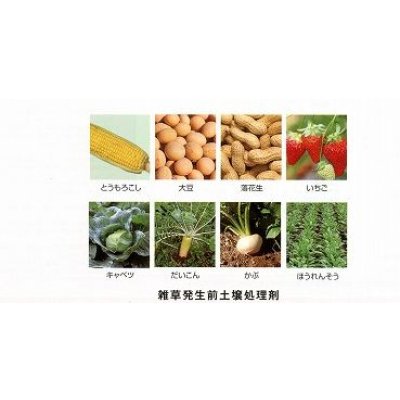 画像3: 農薬　除草剤　ラッソー乳剤　500ml