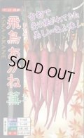 送料無料　[かぶ]　飛鳥あかね蕪　2ml(約400粒)　ナント種苗(株)
