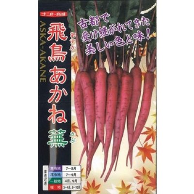 画像1: 送料無料　[かぶ]　飛鳥あかね蕪　2ml(約400粒)　ナント種苗(株)