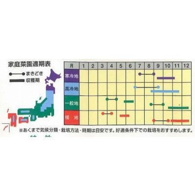 画像2: 送料無料　[かぶ]　飛鳥あかね蕪　2ml(約400粒)　ナント種苗(株)
