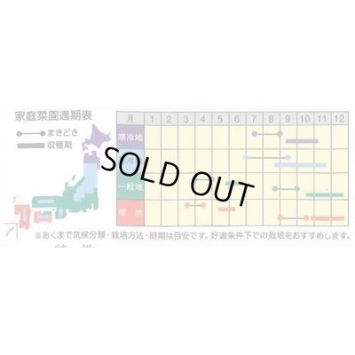 画像2: [かぶ]　飛鳥あかね蕪　2ml（約400粒）　ナント種苗（株）