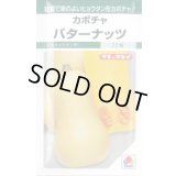 送料無料　[かぼちゃ]　バターナッツ　16粒　タキイ種苗(株)　GF