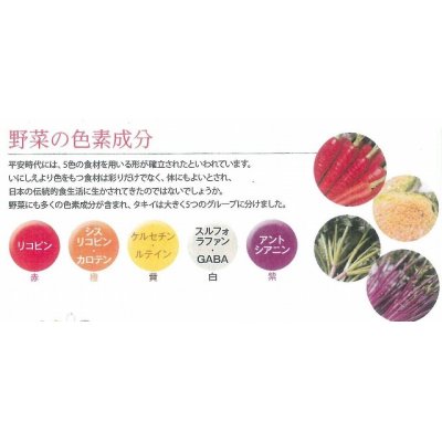 画像2: [葉物]　水菜　紅法師　20ｍｌ　タキイ種苗（株）