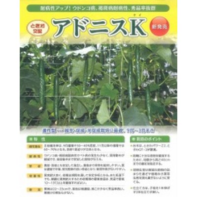 画像3: [キュウリ]　送料無料！アドニスK　350粒　（株）ときわ研究場