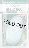 送料無料　[瓜類]　長とうがん　22ml　タキイ種苗(株)　GF