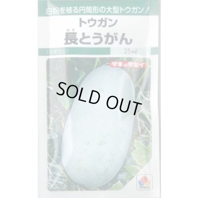画像1: 送料無料　[瓜類]　長とうがん　22ml　タキイ種苗(株)　GF