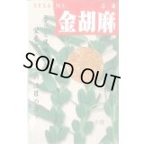 送料無料　[胡麻]　金胡麻　1dl