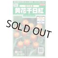 送料無料　花の種　黄花千日紅　約42粒　(株)サカタのタネ　実咲250（026255）